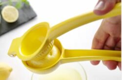 Citruspresser til citroner 223x75x(h)45, Hendi