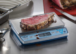 Digital portionsvægt, BRV-480 - Edlund