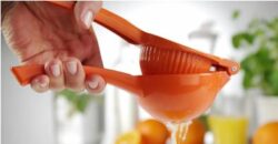 Citruspresser til appelsiner 232x91x(h)60, Hendi
